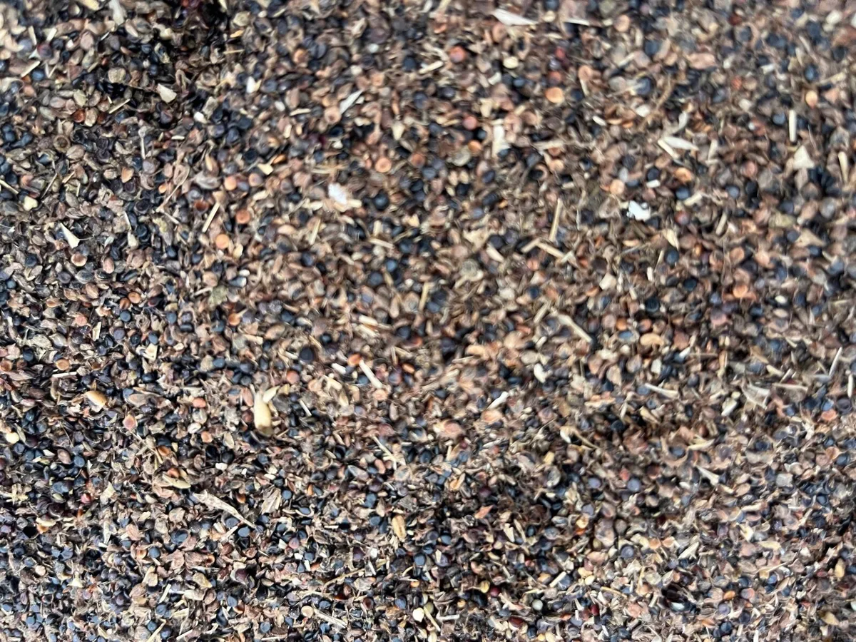 Free poultry feed / pig feed - organic - Image 3