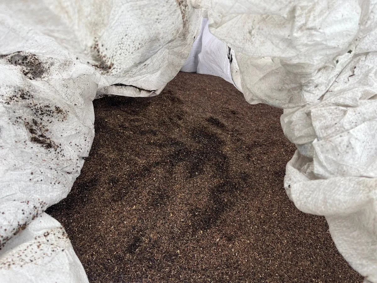 Free poultry feed / pig feed - organic - Image 4