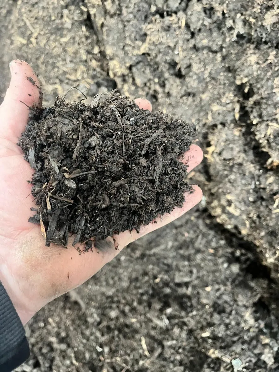 Compost - Image 3