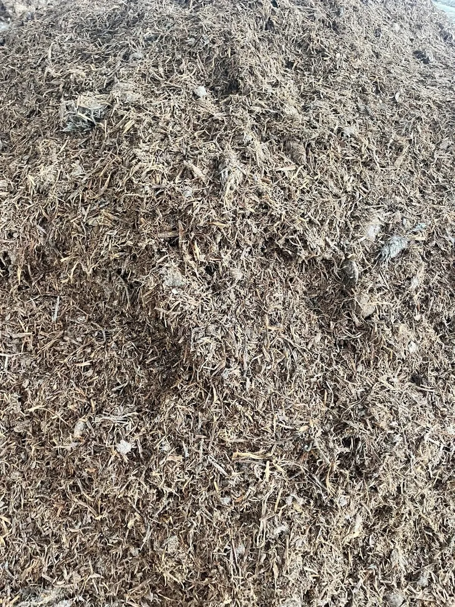 Compost - Image 4