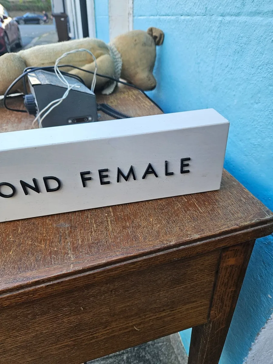 Wooden Sign Second Female - Image 3