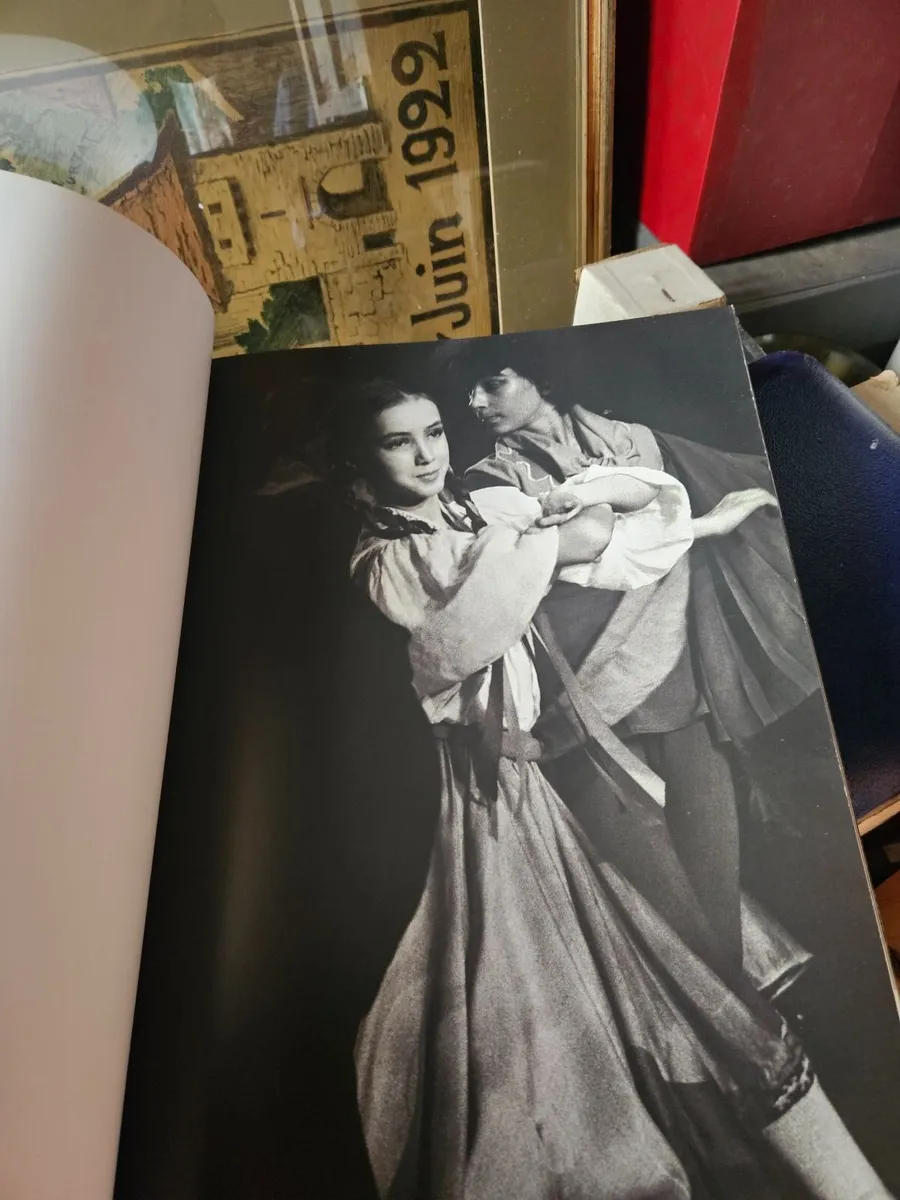 Book Sylvie Guillem - Image 3