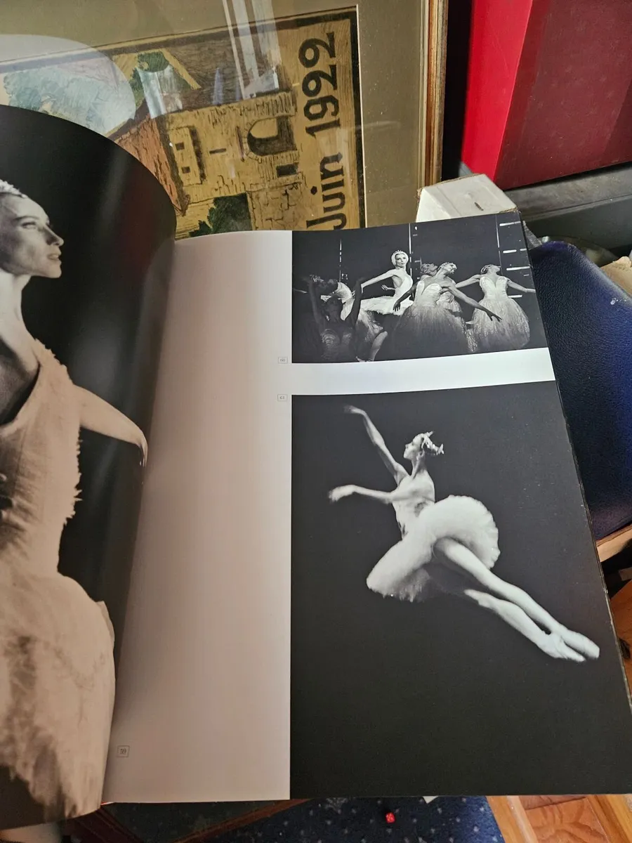 Book Sylvie Guillem - Image 4
