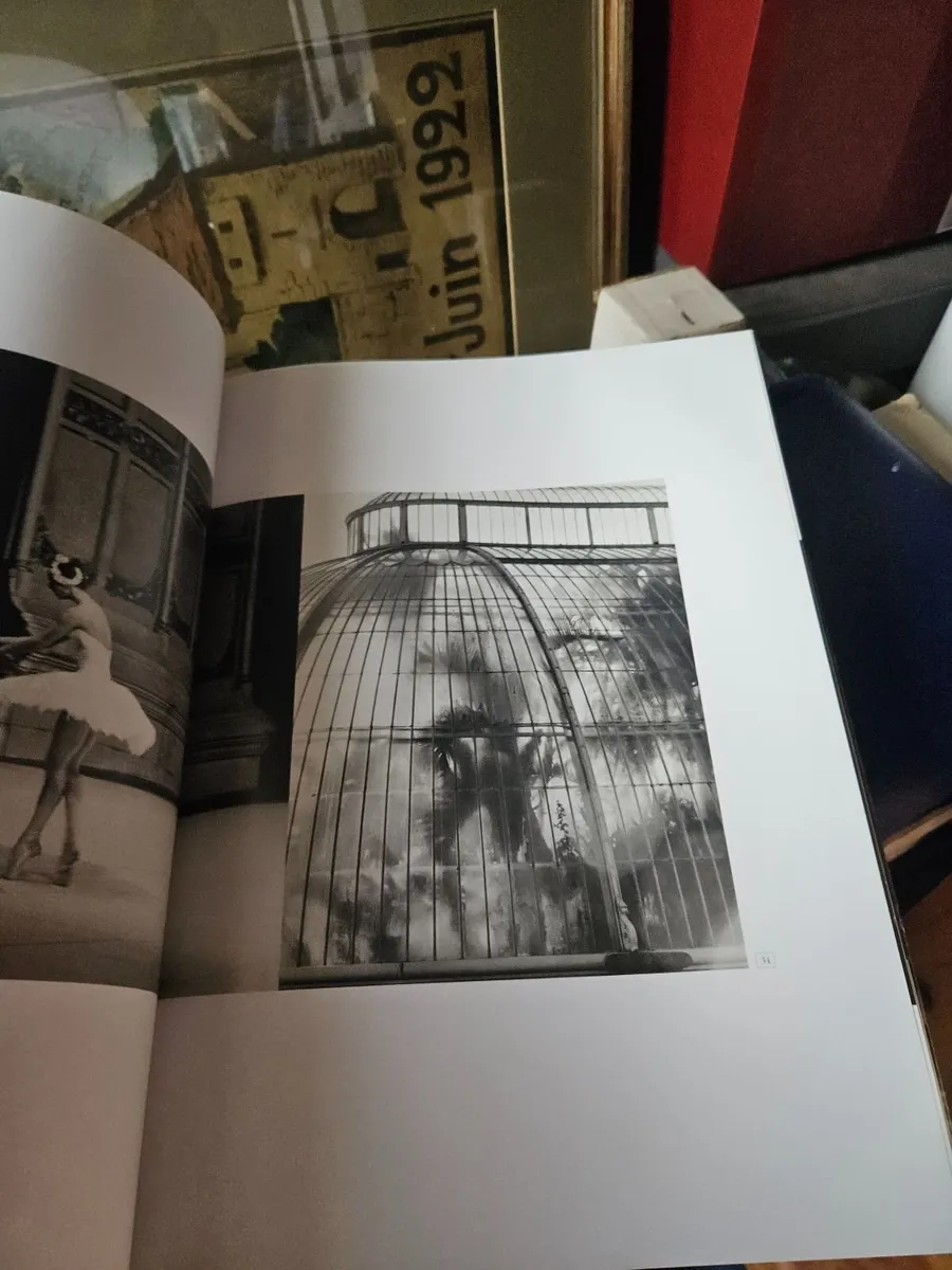 Book Sylvie Guillem - Image 2