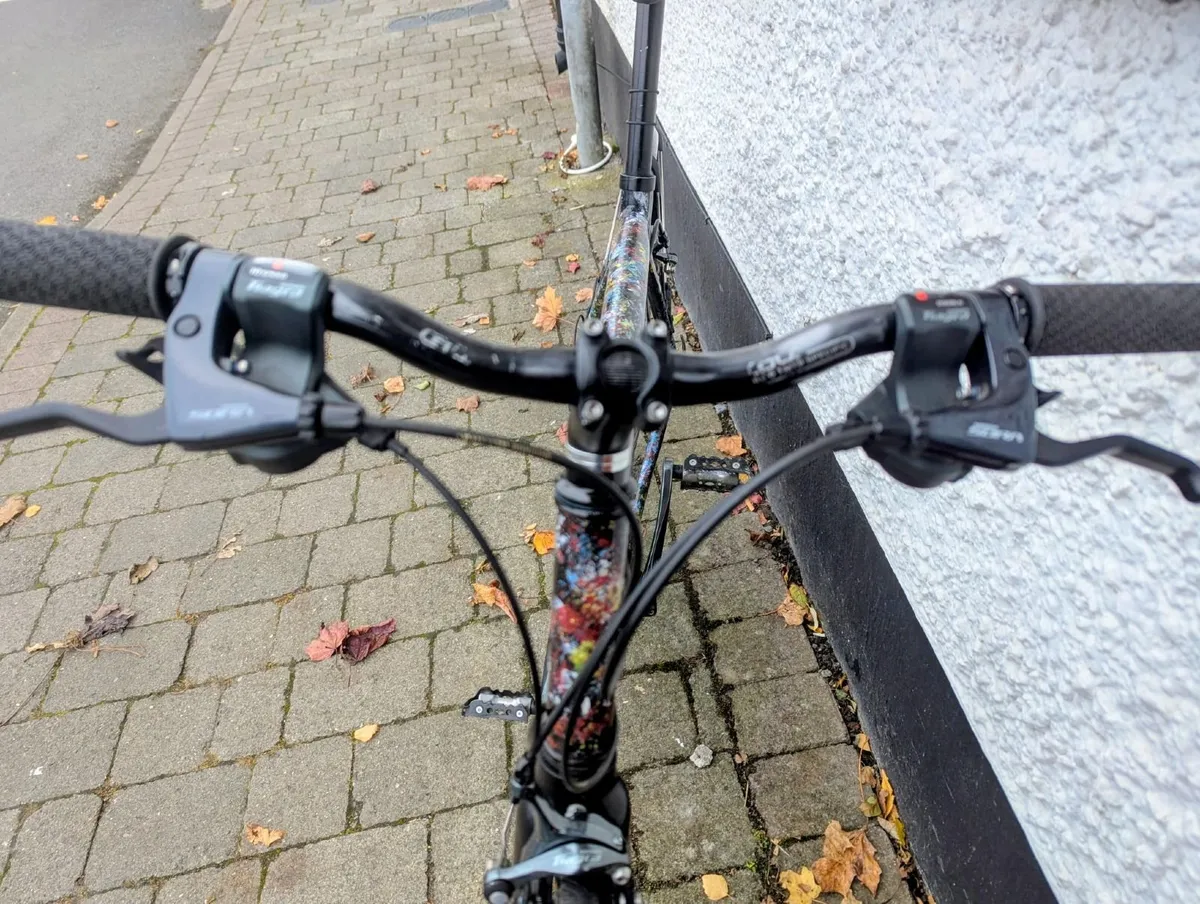 Adult Hybrid Bike - Image 3