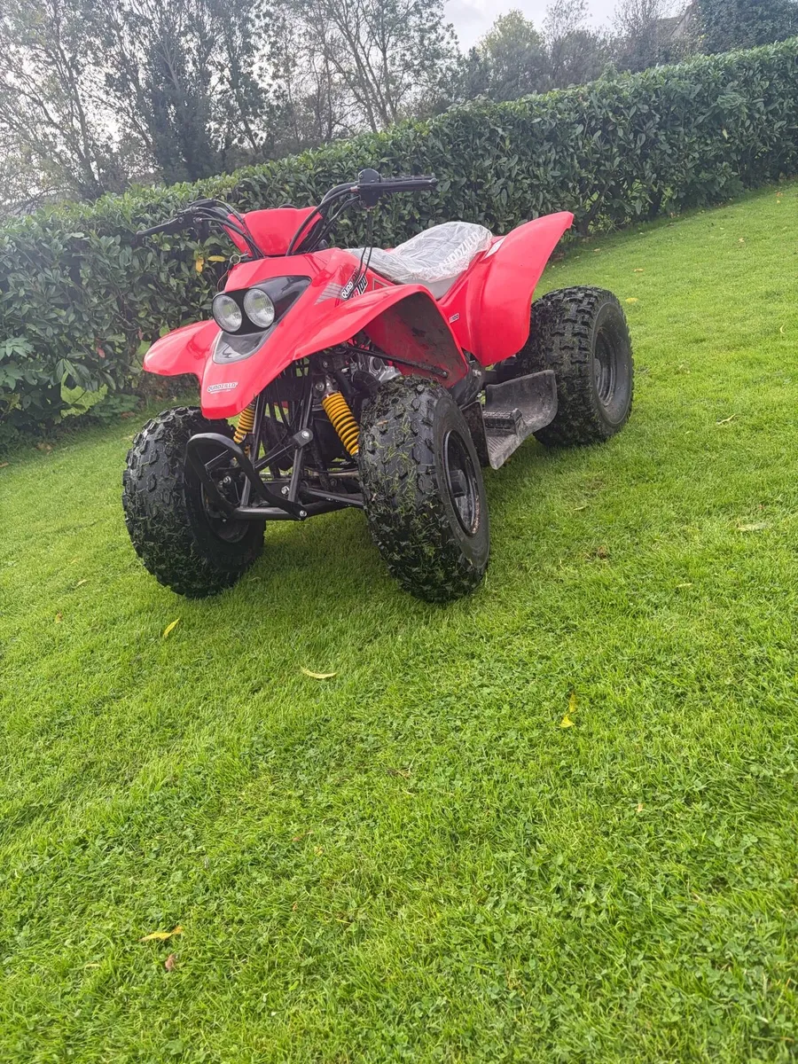 Quadzilla R100 Quad - Image 1