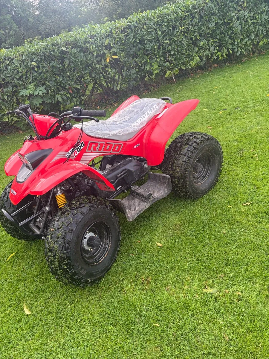 Quadzilla R100 Quad - Image 2