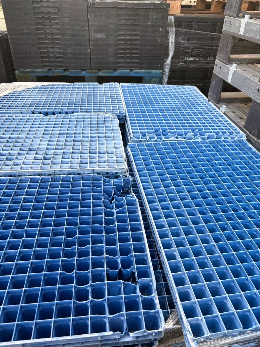 Propagation trays - Image 4