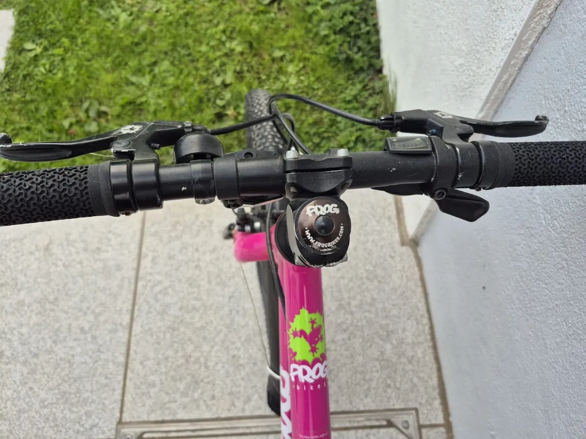 Pink Frog 55 bike - Image 4
