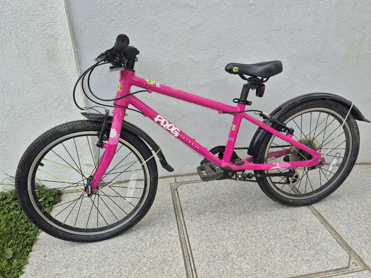 Pink Frog 55 bike - Image 1