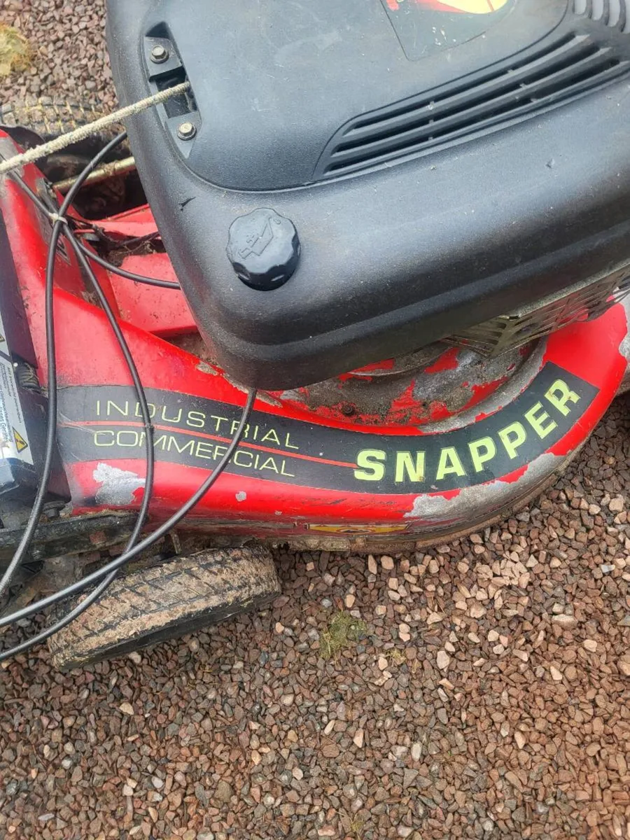 Commercial self drive mower - Image 1