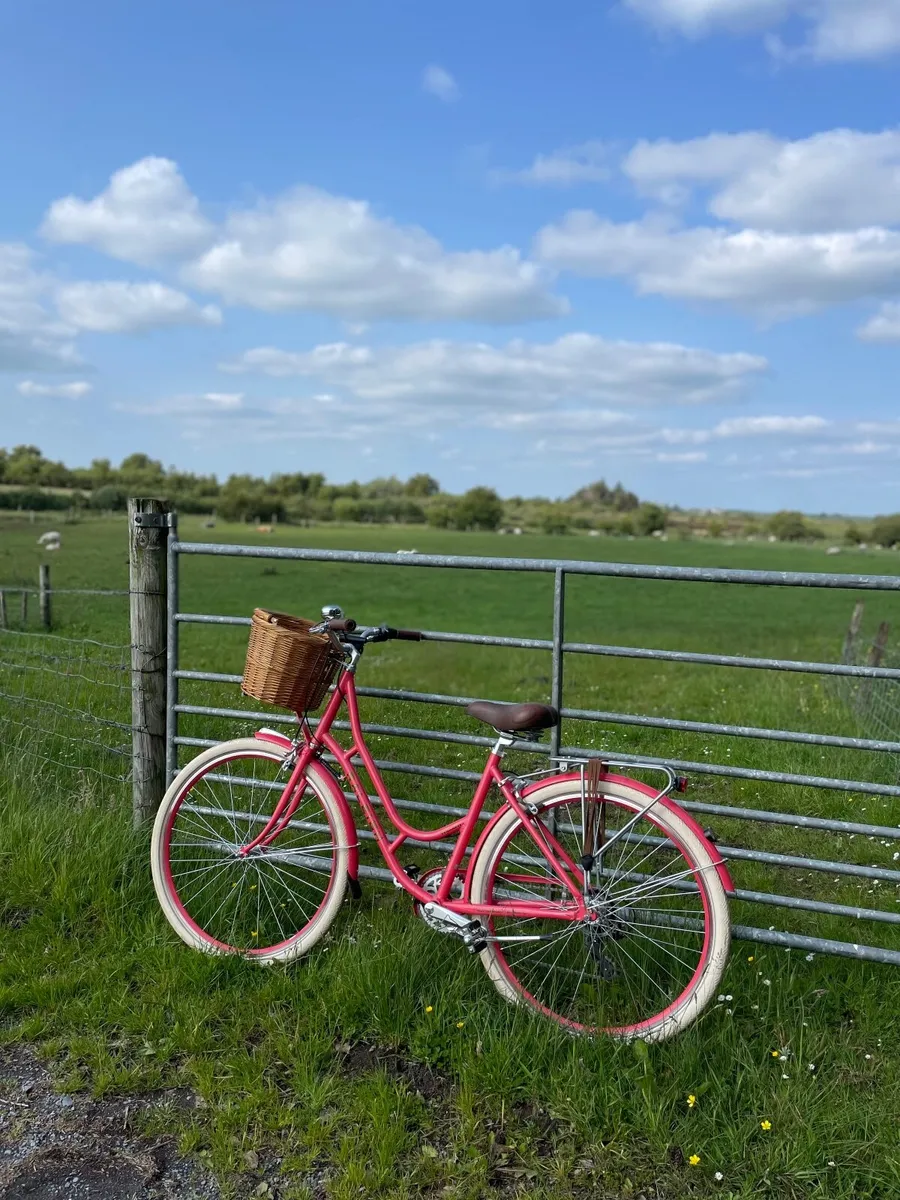 Ladies Raleigh willow  bike
