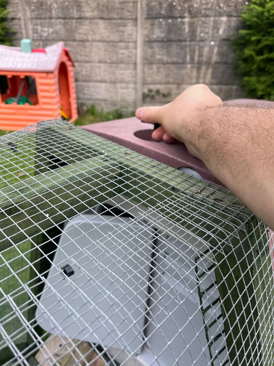 Chicken Coop & Run. - Image 3