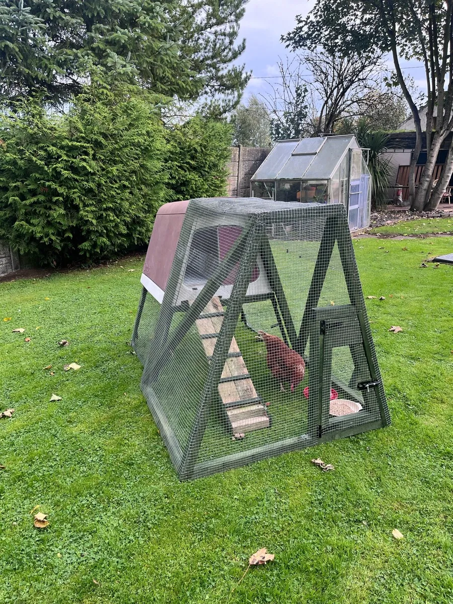 Chicken Coop & Run. - Image 1