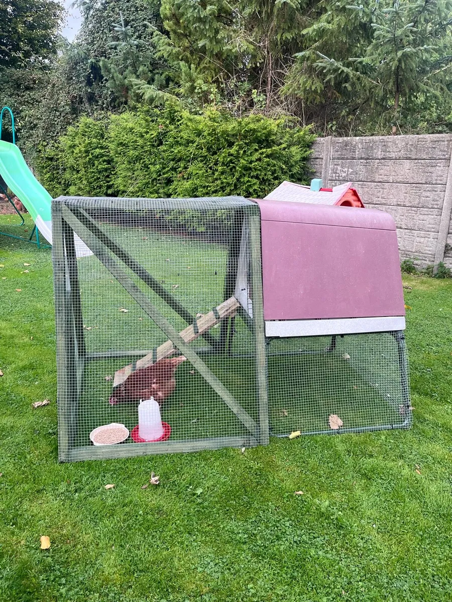 Chicken Coop & Run. - Image 2