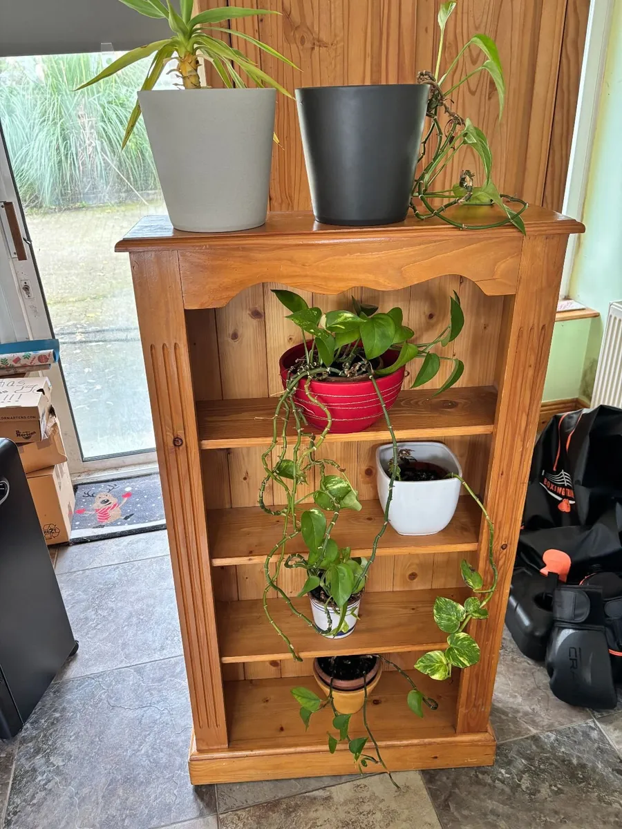 The last few plants FREE to take!