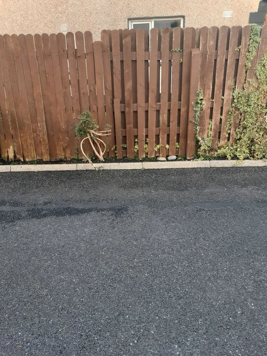 Hedges fencing rails - Image 3