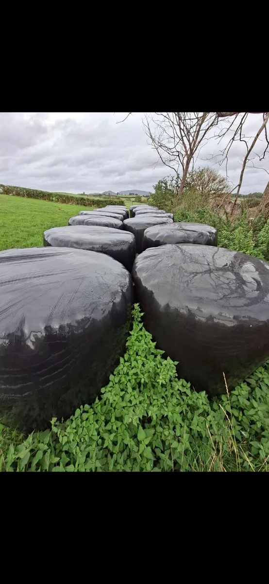 Silage bales - Image 1