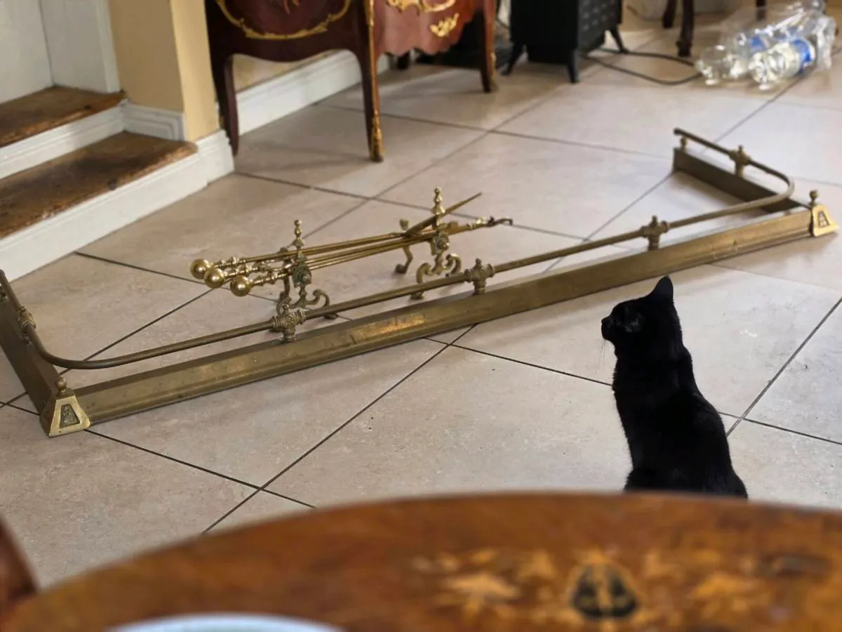 Antique fender andirons and companion set - Image 4