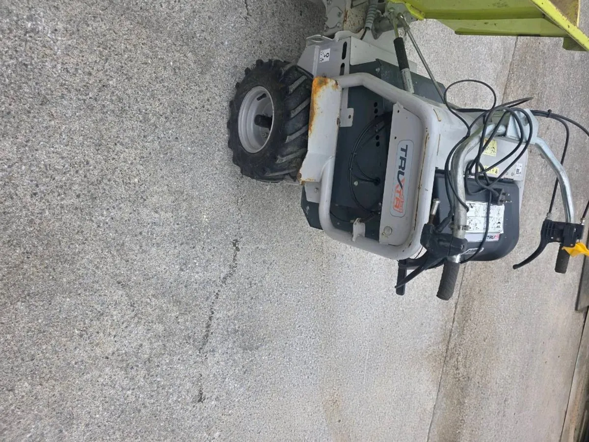 Dumper - Image 2