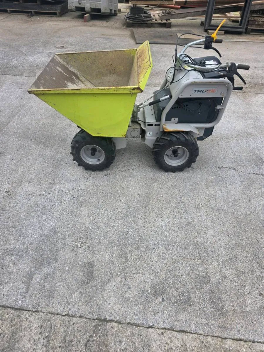 Dumper - Image 1