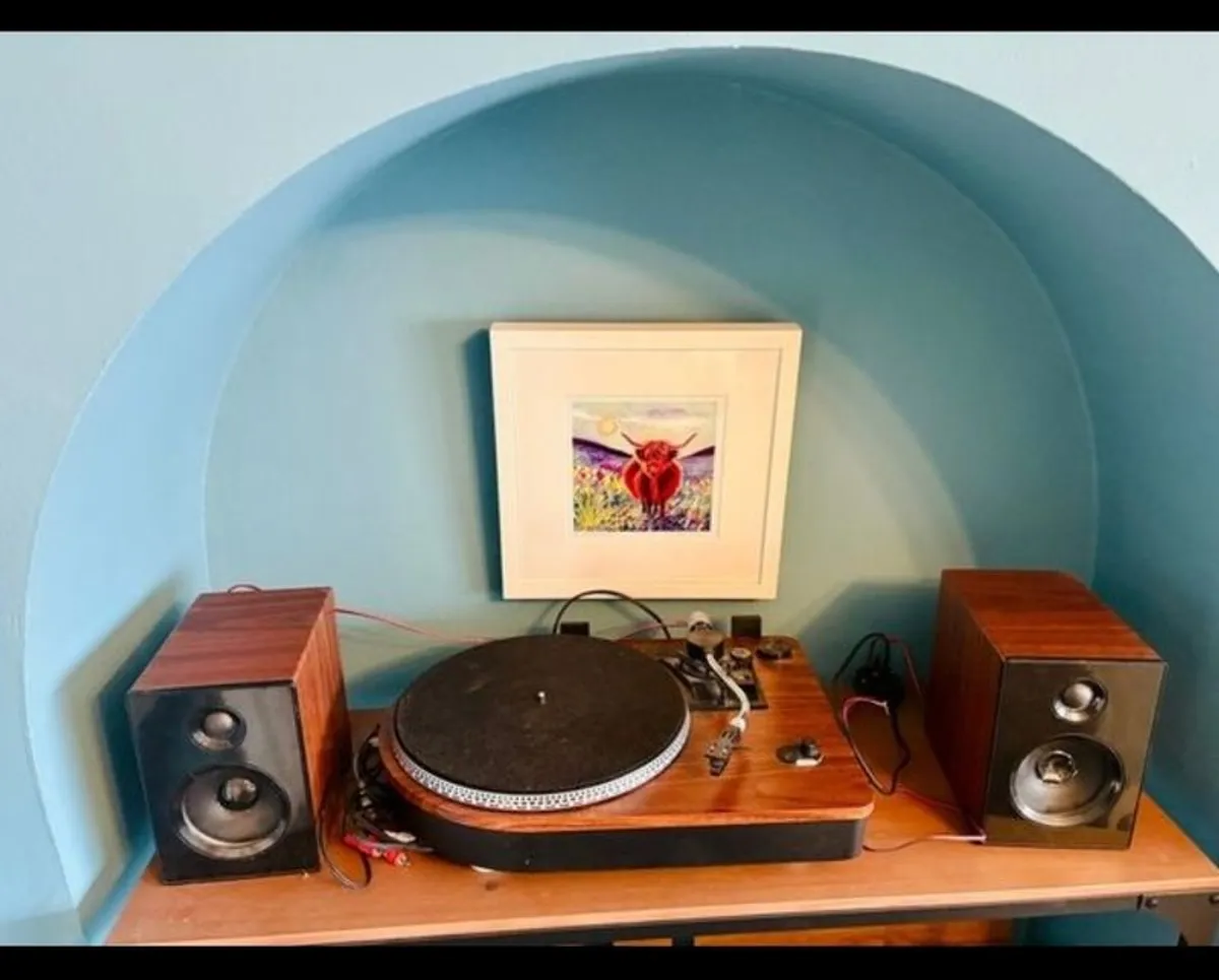 Steepletone wooden turntable, brand new needle, selling as speakers don't work anymore, i bought connectors, maybe i haven't cut the wires enough, everything else works fine, I'll supply the connectors so all it needs is speakers - Image 2