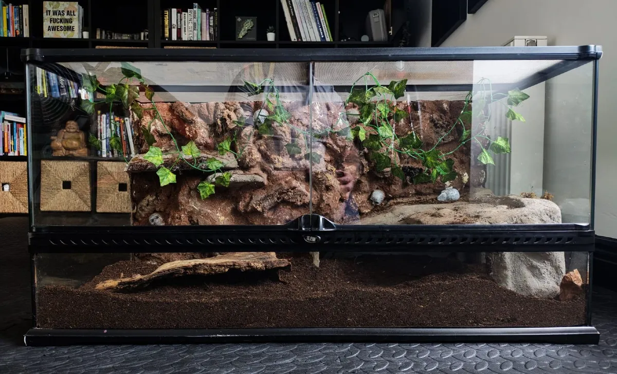 Exo terra vivarium large - Image 1