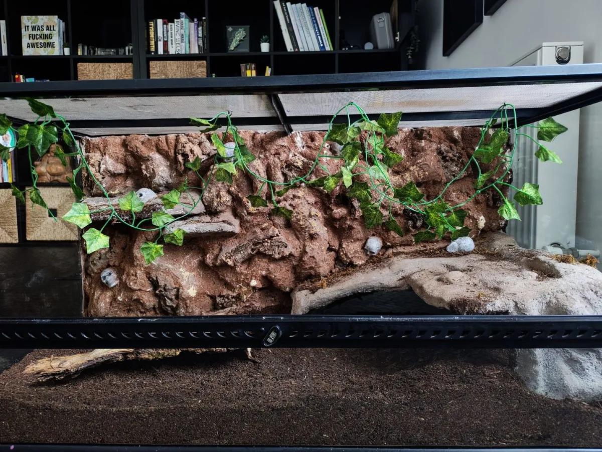 Exo terra vivarium large - Image 2