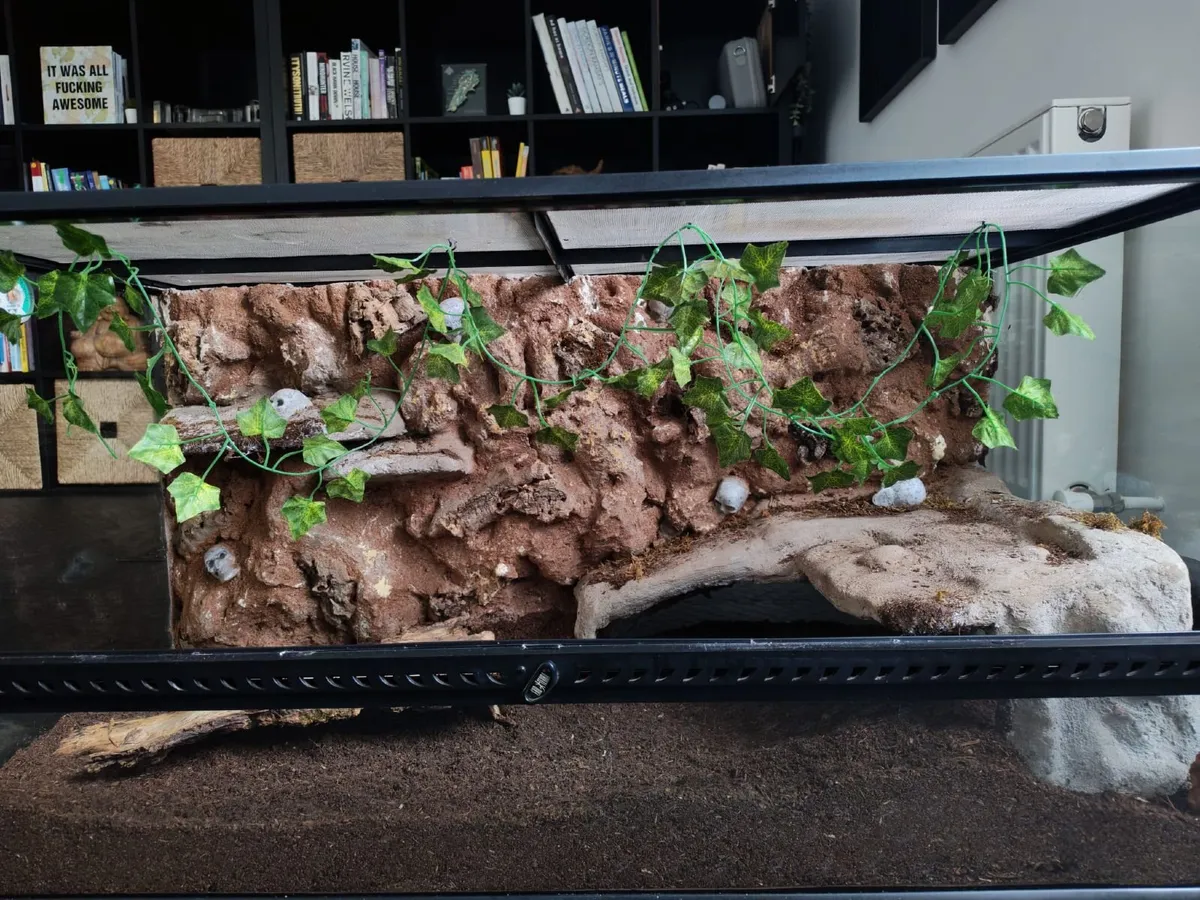 Exo terra vivarium large - Image 4