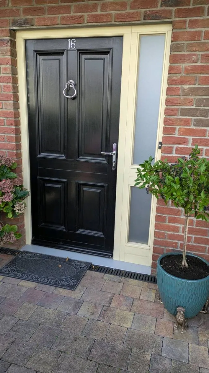 Front door - Image 1