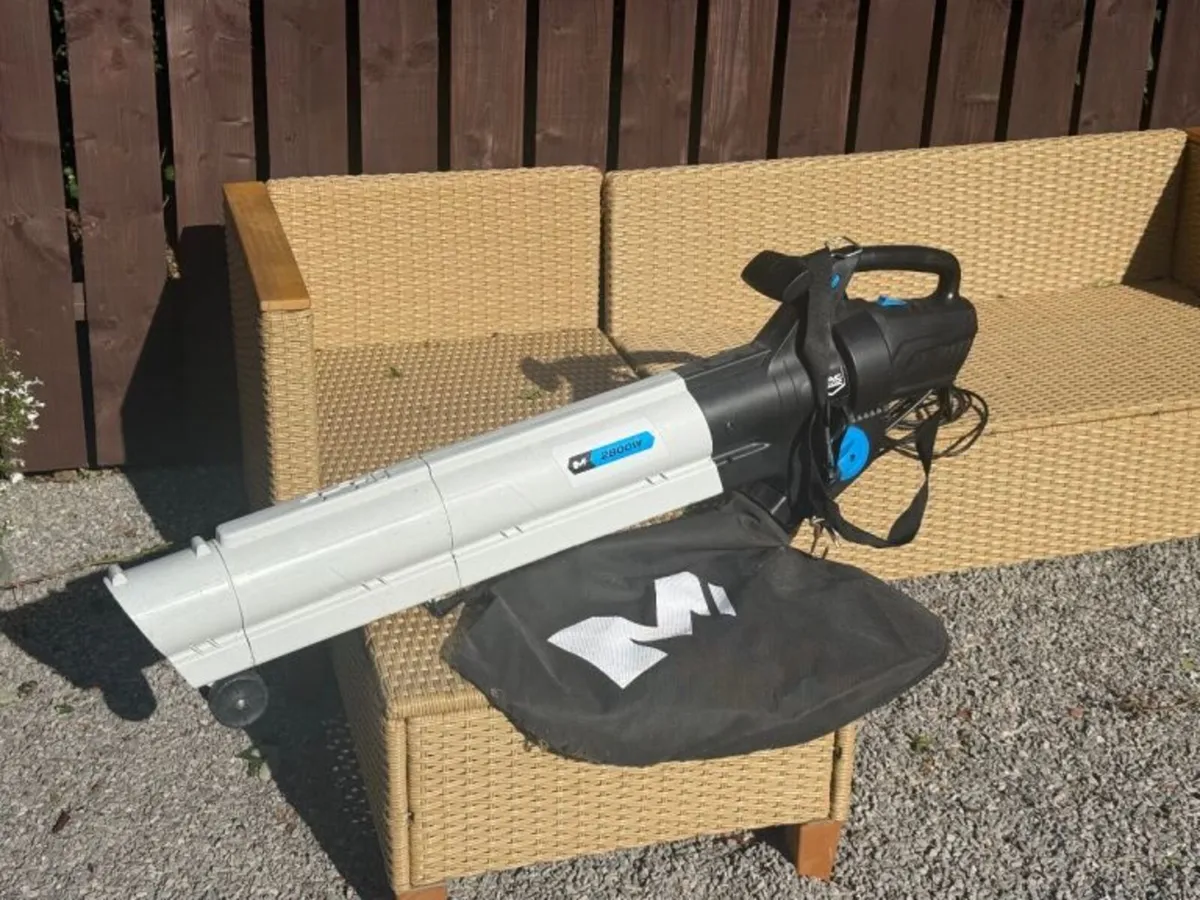 Leaf collector/Muncher/Blower - Image 1