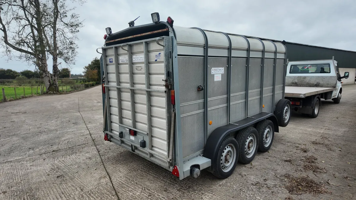 2018 Ifor Williams 12' Tri Axle Livestock - Image 4