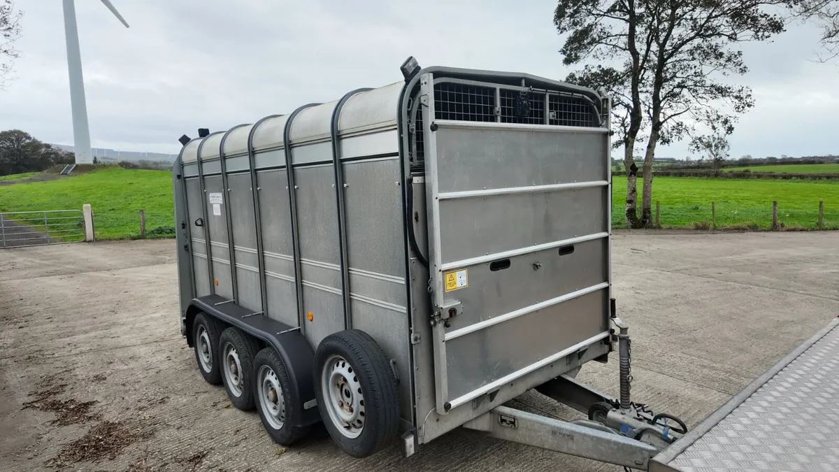 2018 Ifor Williams 12' Tri Axle Livestock - Image 3