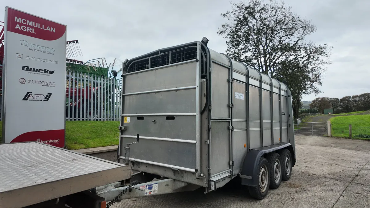 2018 Ifor Williams 12' Tri Axle Livestock - Image 2