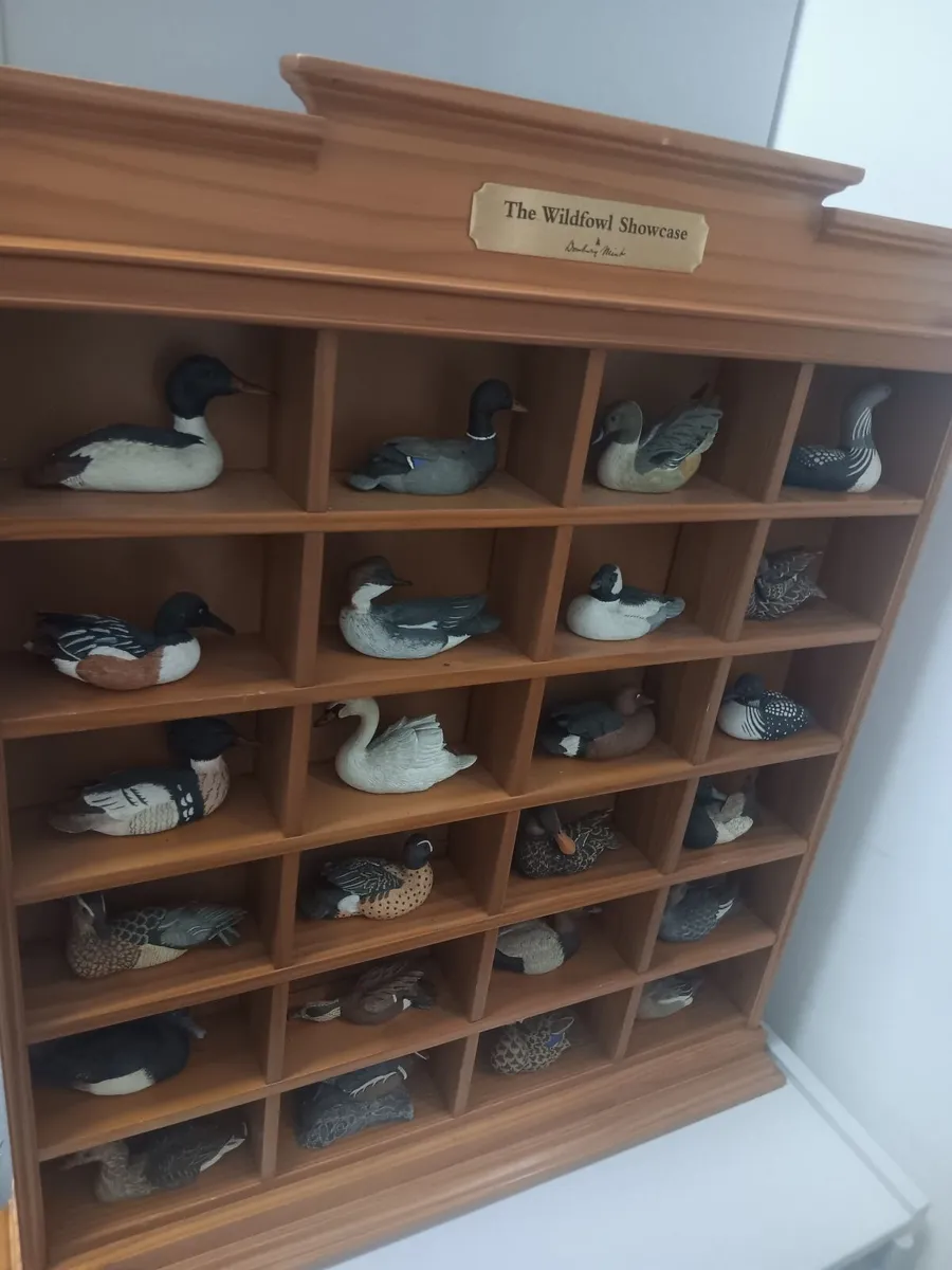 Wildfowl showcase - Image 2