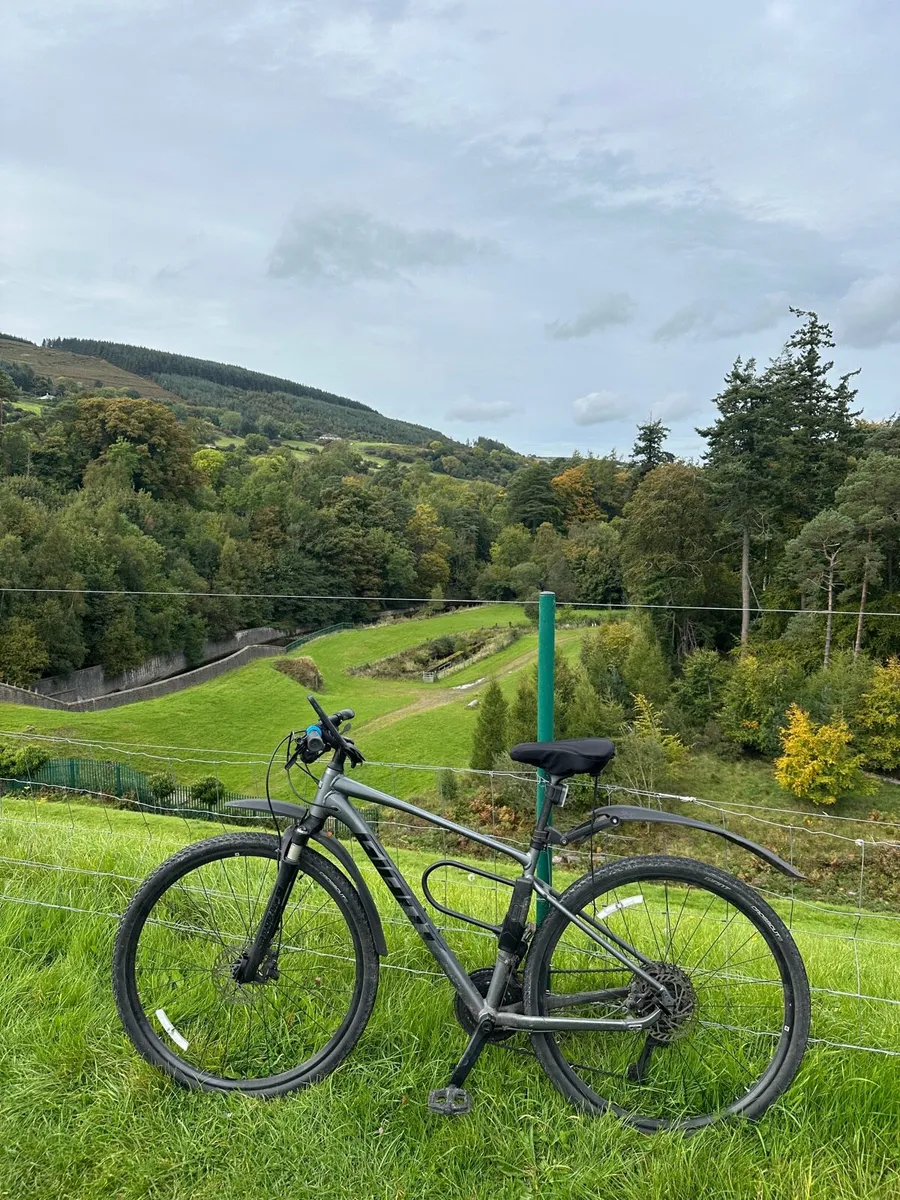 Bike GIANT ROAM DISC 2 - Image 3