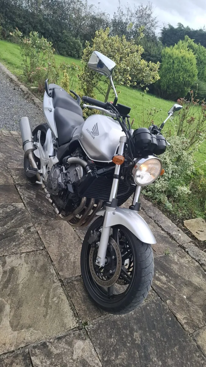 HONDA CBF 600 2005 - Image 3