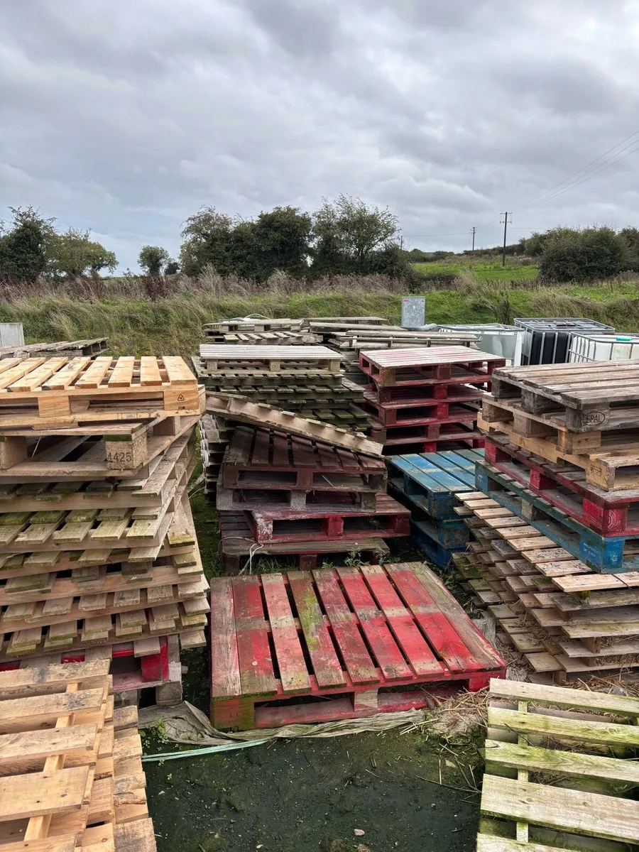 Pallets - Image 1