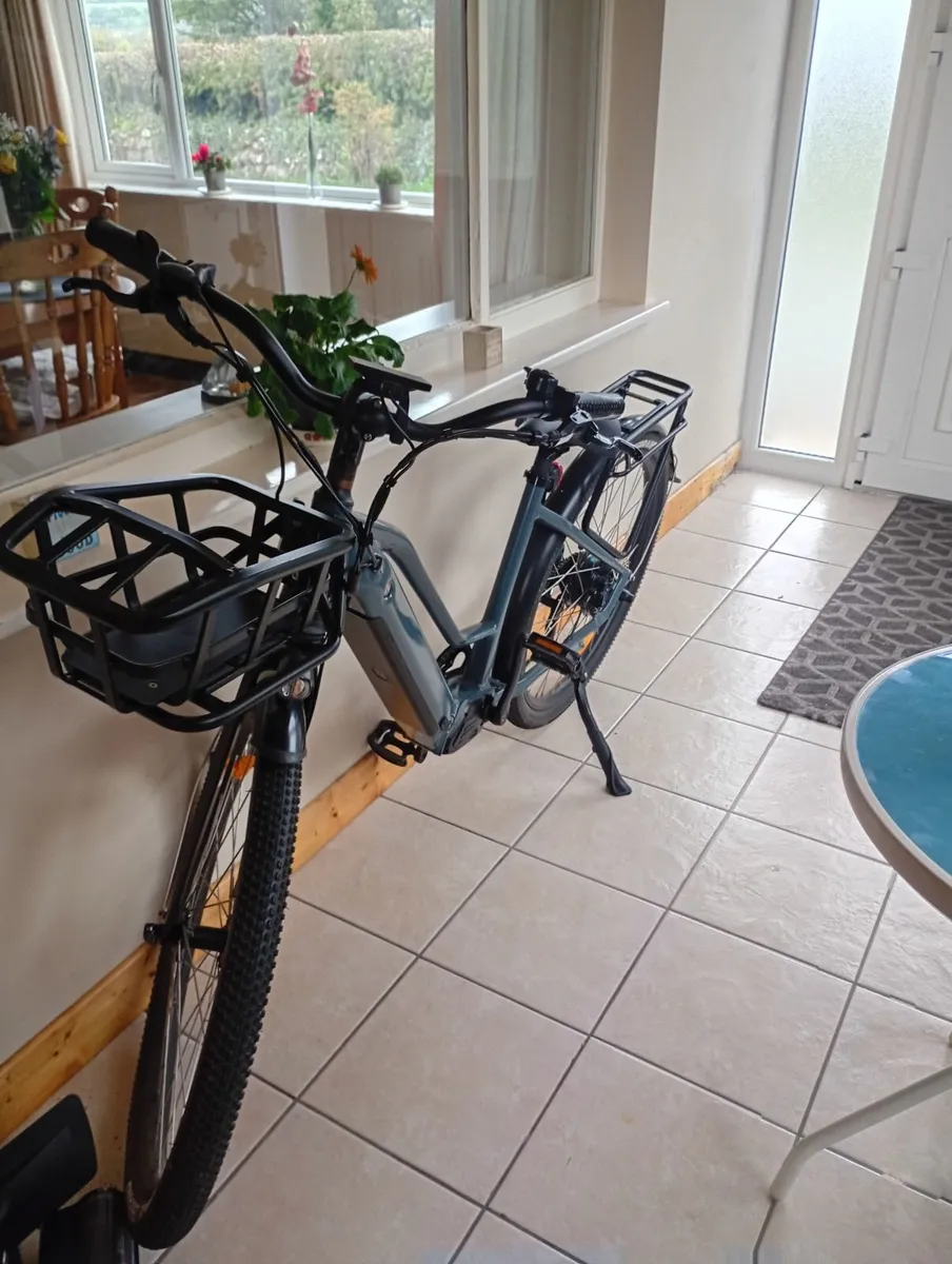 E bike - Image 3