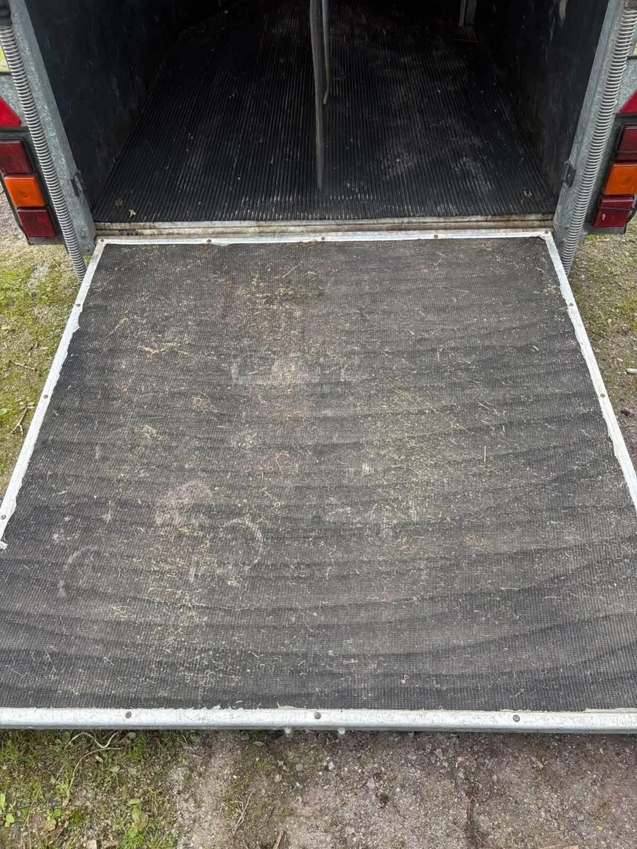 horse box - Image 4