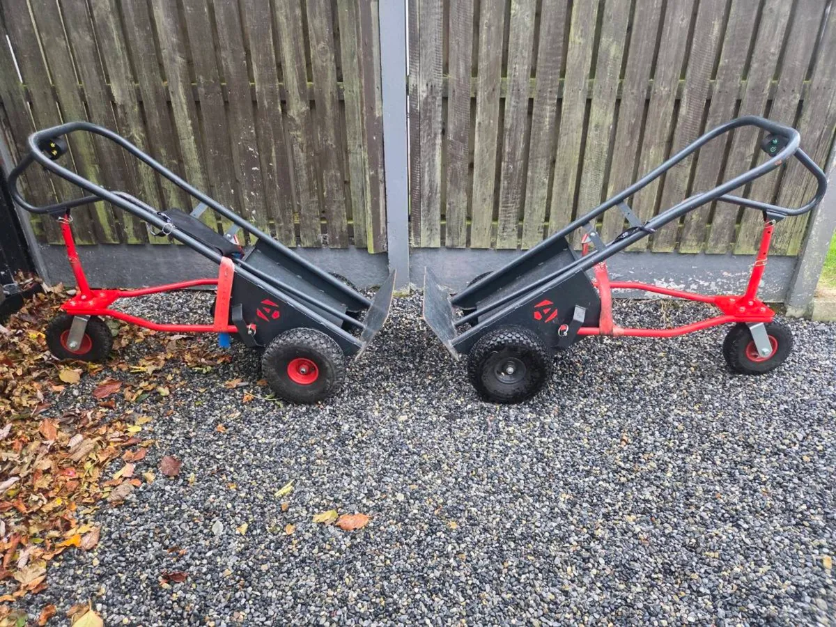 Electric trolley - Image 1