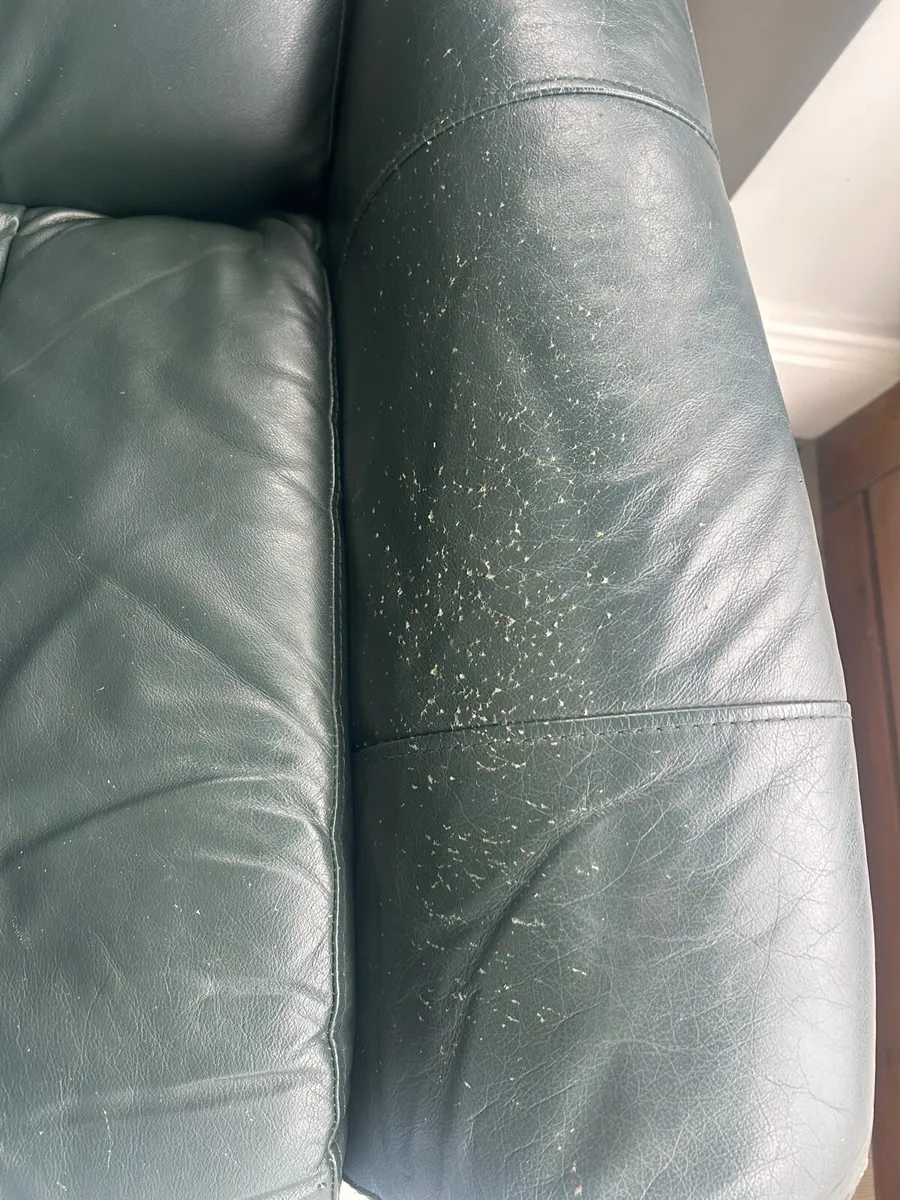 Couch - Image 3