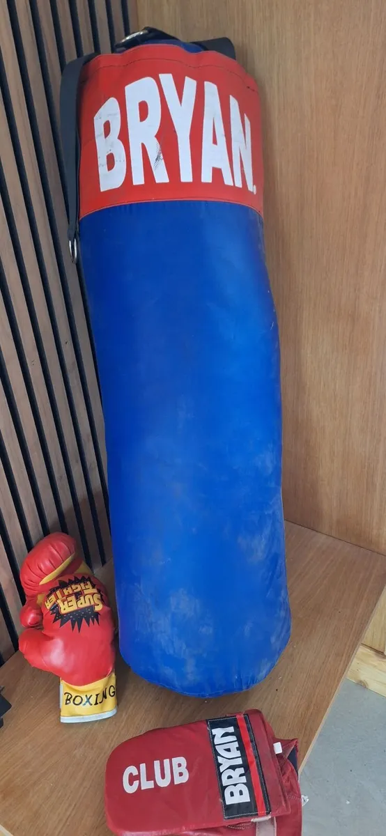 Punchbag - Image 1