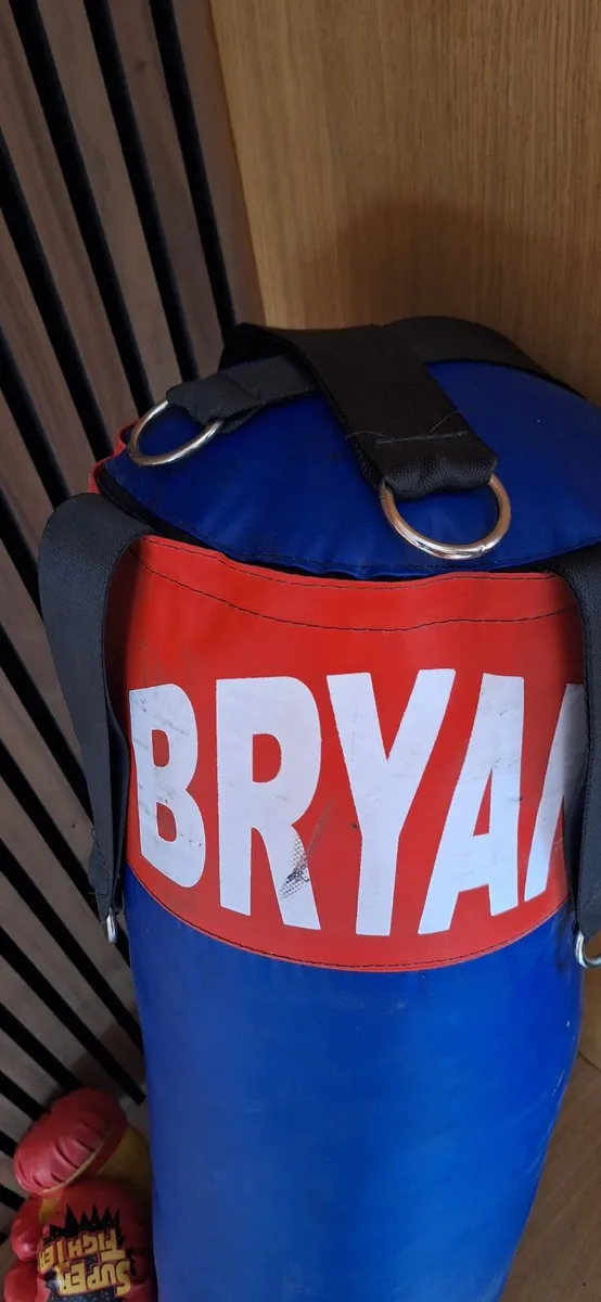 Punchbag - Image 2
