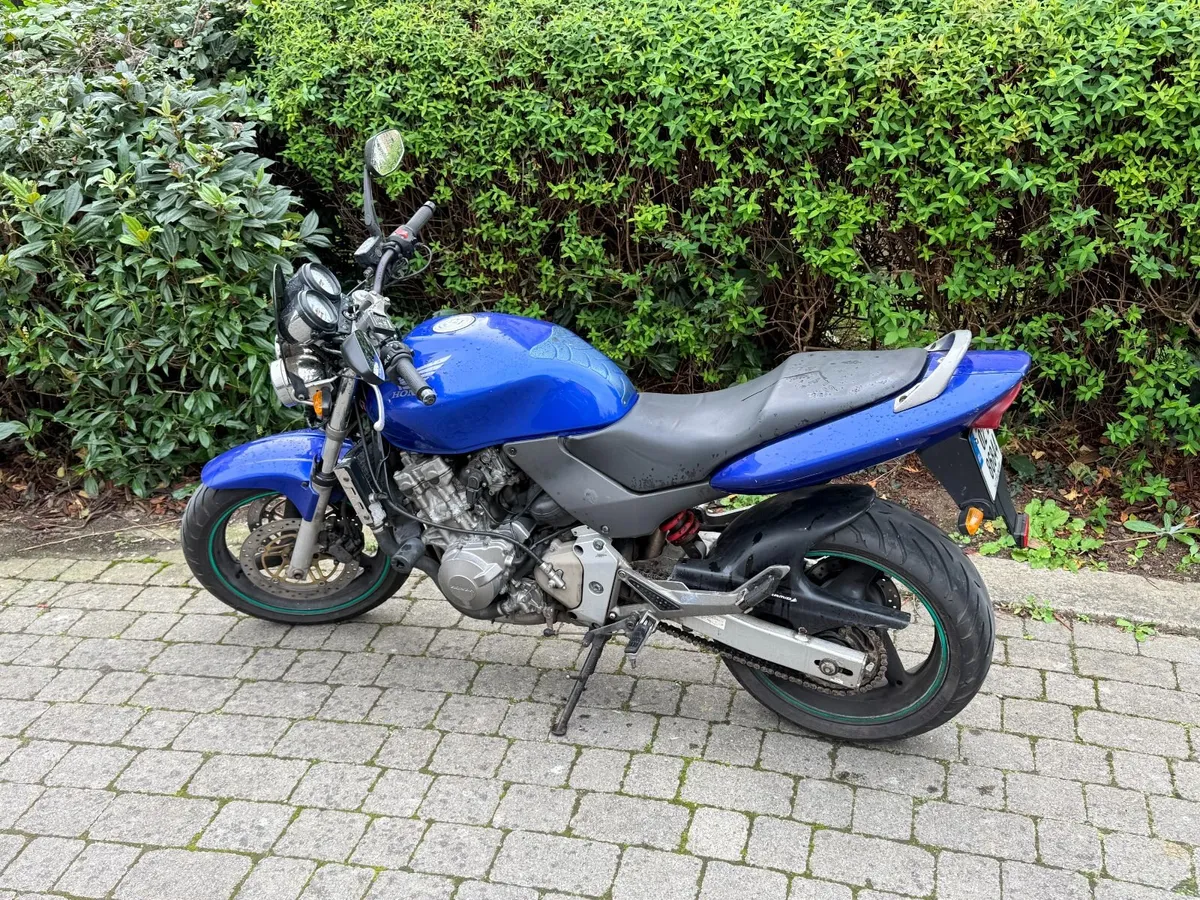 Honda Hornet 600 - Image 4
