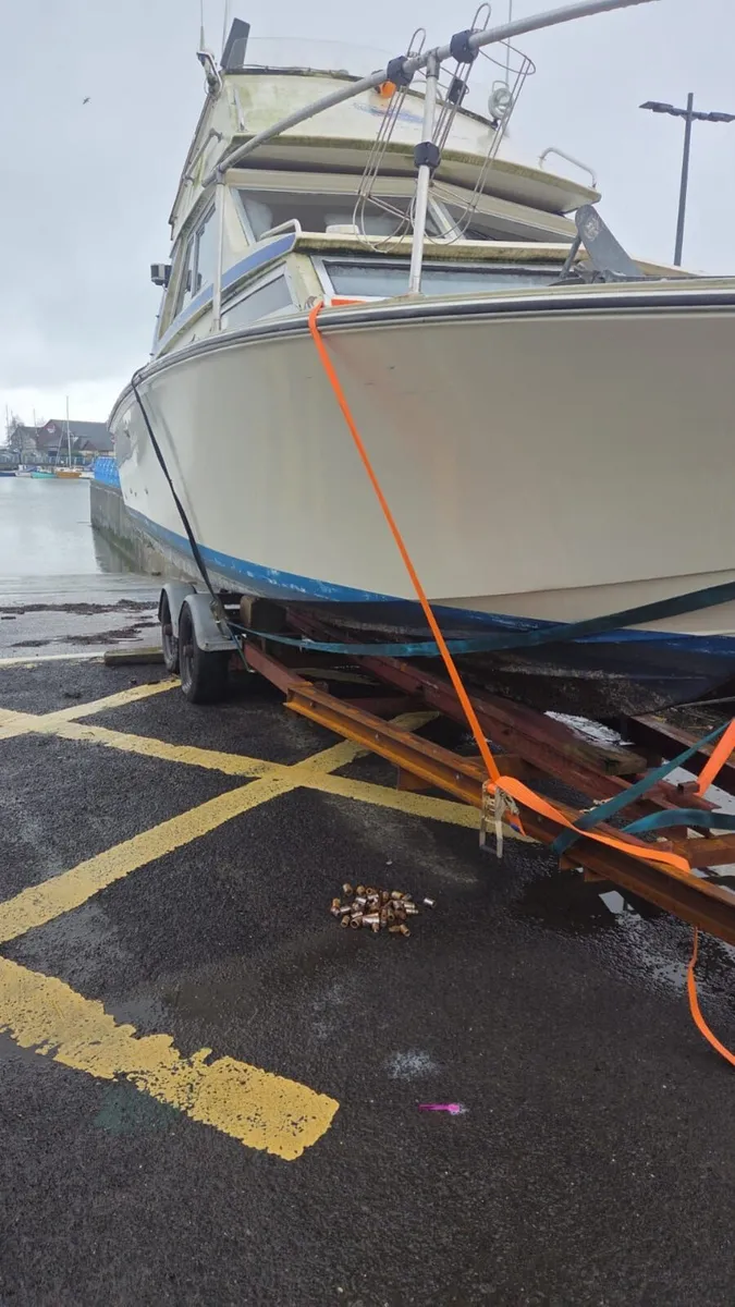Cabin cruiser - Image 2