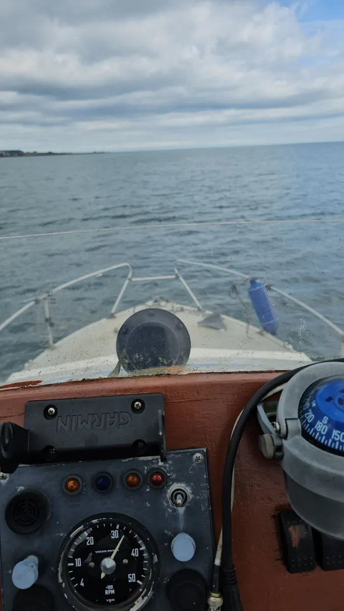 Cabin cruiser - Image 3