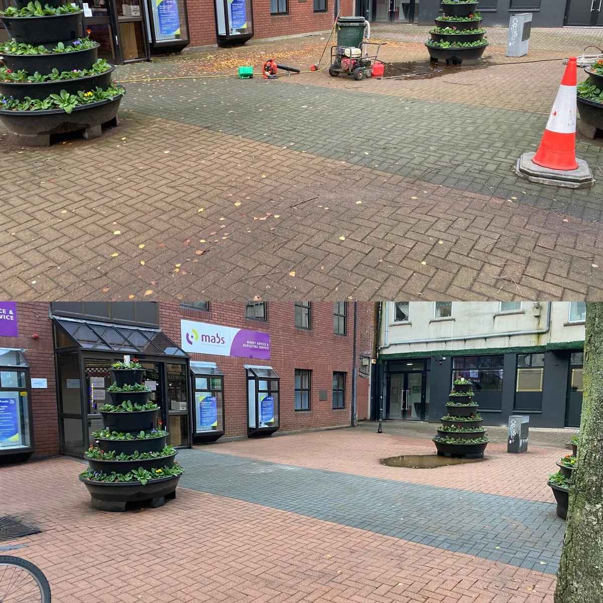 Winter garden clean ups - Image 3