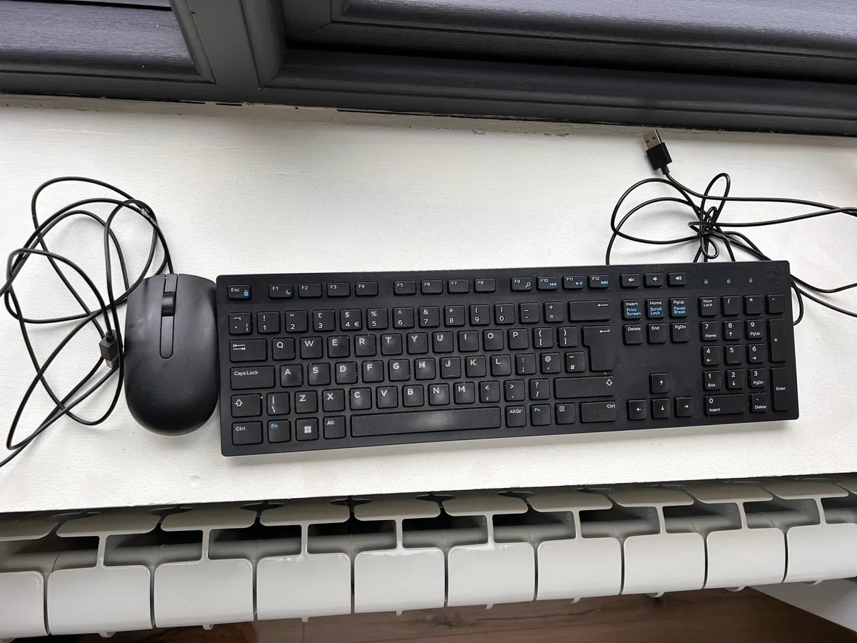 Keyboard and mouse