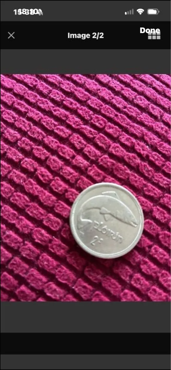 Irish Florin 1966 - Image 1